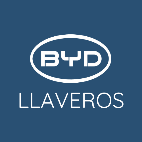 BYD Llaveros