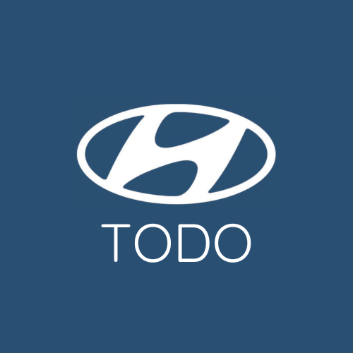 Hyundai Todo